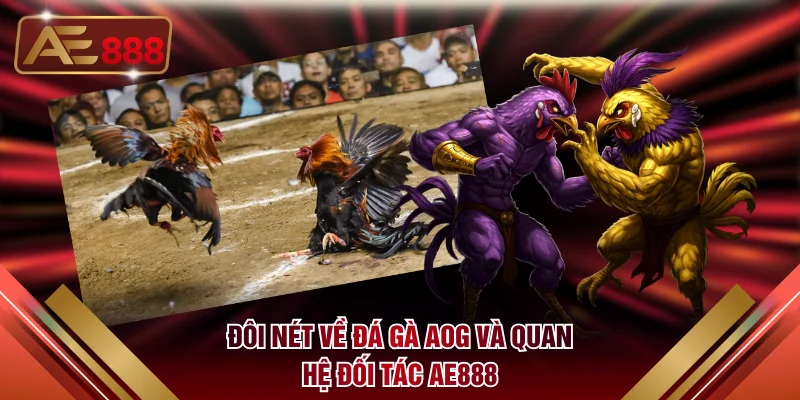 Đôi nét về đá gà AOG và quan hệ đối tác AE888